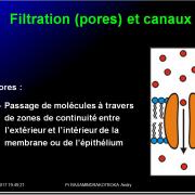 Modalités de passage des médicaments à travers membrane biologique et épithélium 6