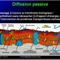 Modalités de passage des médicaments à travers membrane biologique et épithélium 7