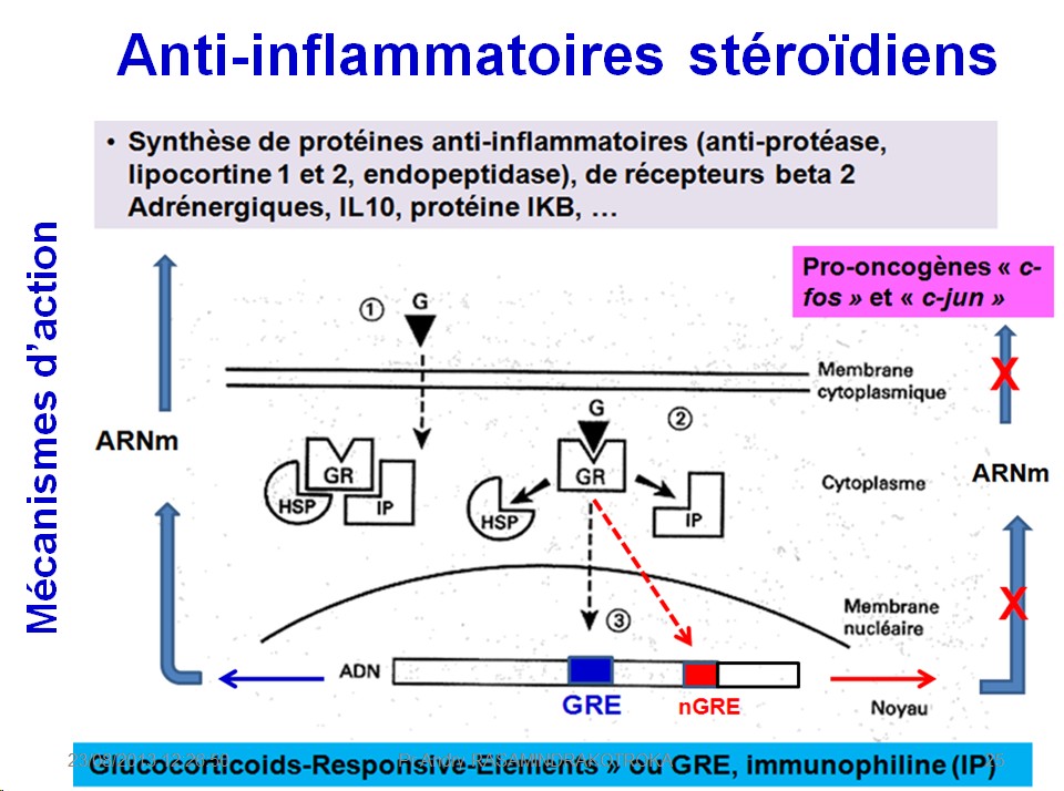 Molécules antiinflammatoires 11