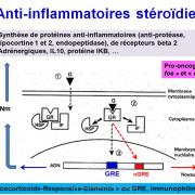 Molécules antiinflammatoires 11