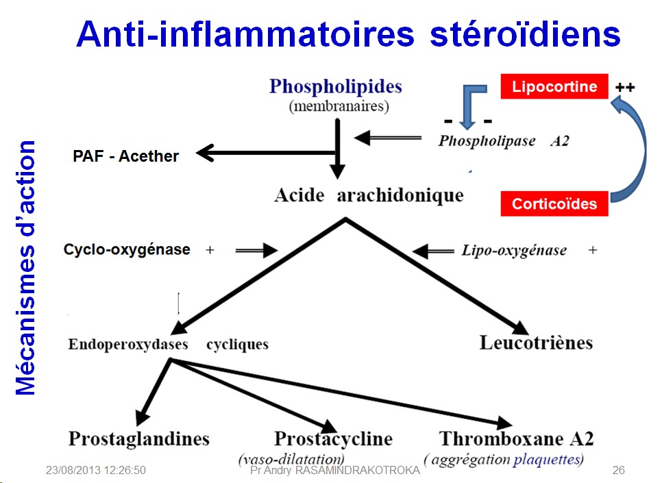 Molécules antiinflammatoires 12