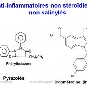 Molécules antiinflammatoires 17
