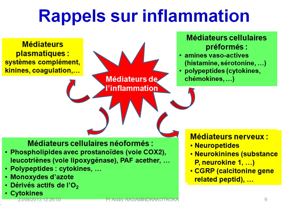 Molécules antiinflammatoires 4