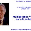 Multplication virale dans la cellule 0