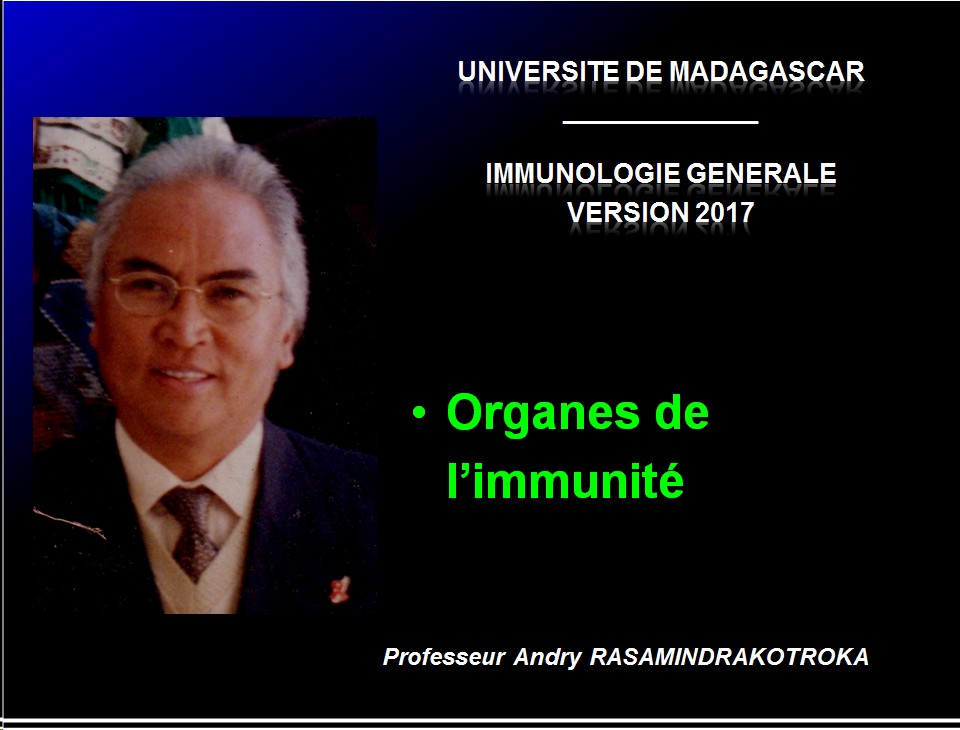 Organes de l'immunité 1