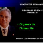 Organes de l'immunité 1