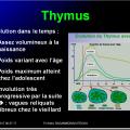Organes de l'immunité 8