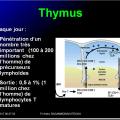 Organes de l'immunité 9