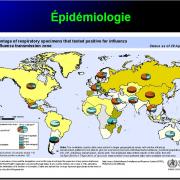 Orthomyxoviridae et infections par virus de la grippe 10
