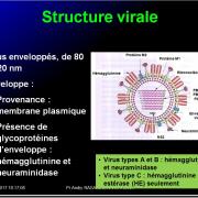 Orthomyxoviridae et infections par virus de la grippe 2