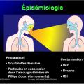 Orthomyxoviridae et infections par virus de la grippe 4