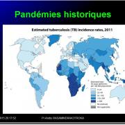 Pandémies humaines 20