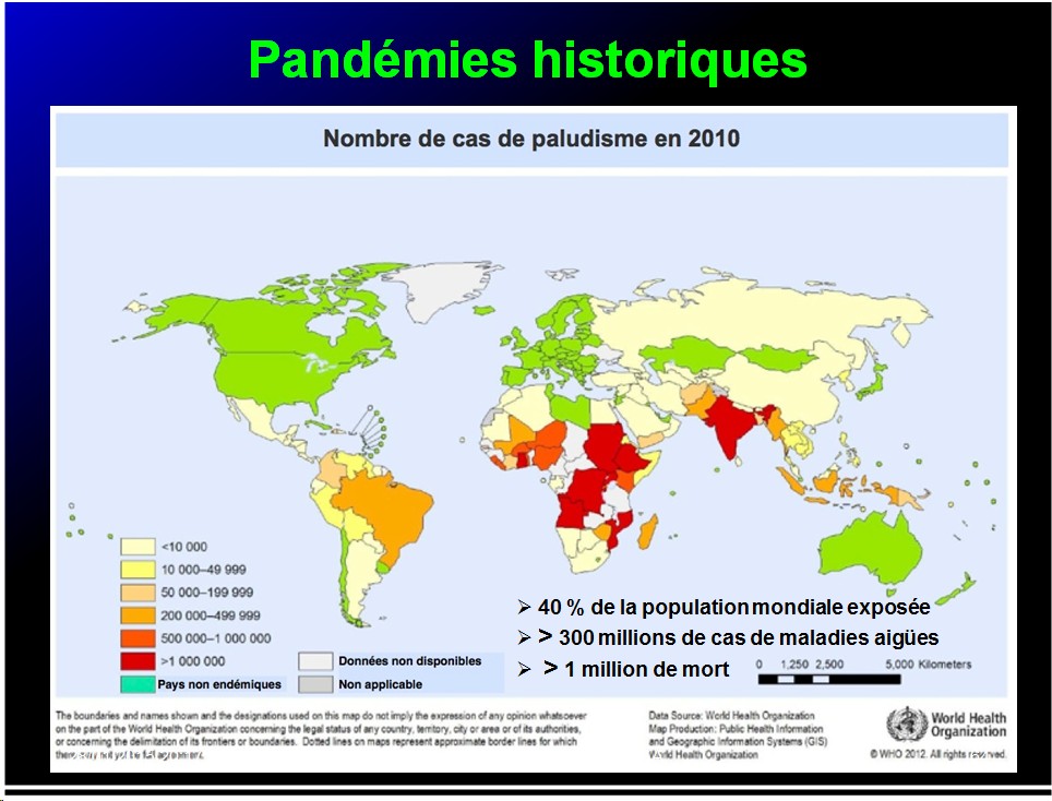 Pandémies humaines 22