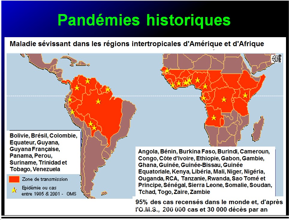 Pandémies humaines 23