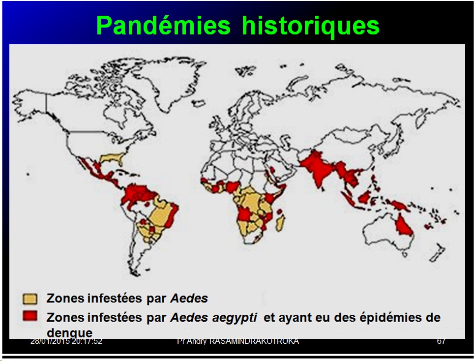Pandémies humaines 24
