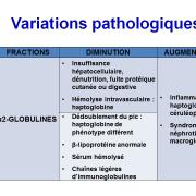 Protéines plasmatiques 13