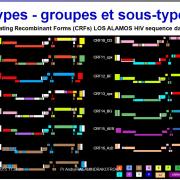 Retroviridae et infections par HTLV et VIH 10