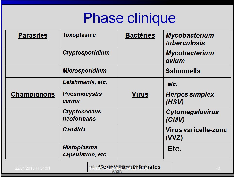 Retroviridae et infections par HTLV et VIH 13