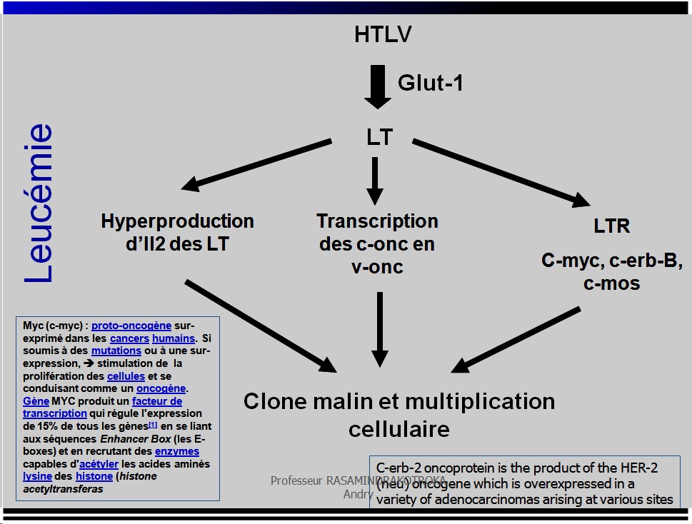 Retroviridae et infections par HTLV et VIH 32
