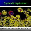 Retroviridae et infections par HTLV et VIH 6