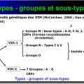 Retroviridae et infections par HTLV et VIH 8