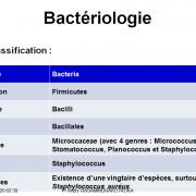 Staphylococcus et infections à staphylocoques 1