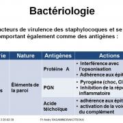 Staphylococcus et infections à staphylocoques 3
