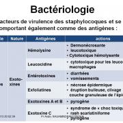 Staphylococcus et infections à staphylocoques 4