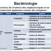 Staphylococcus et infections à staphylocoques 5