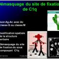 Système complément 2