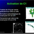 Système complément 3