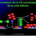 Système complément 6