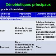 Système immunitaire et xénobiotiques 3