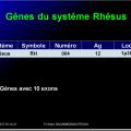 Systèmes - groupes érythrocytaires 11