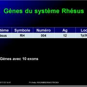 Systèmes - groupes érythrocytaires 11