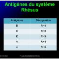 Systèmes - groupes érythrocytaires 13