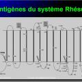Systèmes - groupes érythrocytaires 14
