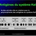 Systèmes - groupes érythrocytaires 16