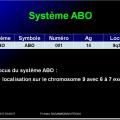 Systèmes - groupes érythrocytaires 4