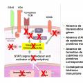 Tolérance immunitaire 11