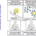 Tolérance immunitaire 7