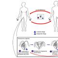 Trichomonas vaginalis et trichomonose (3)