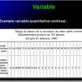 Variable - variabilité2