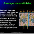 Voies d’administration des médicaments 2