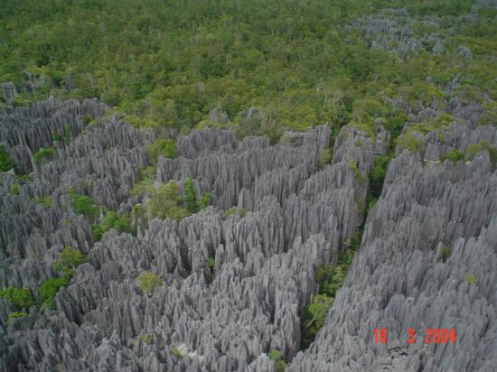 Bemaraha site touristique Madagascar